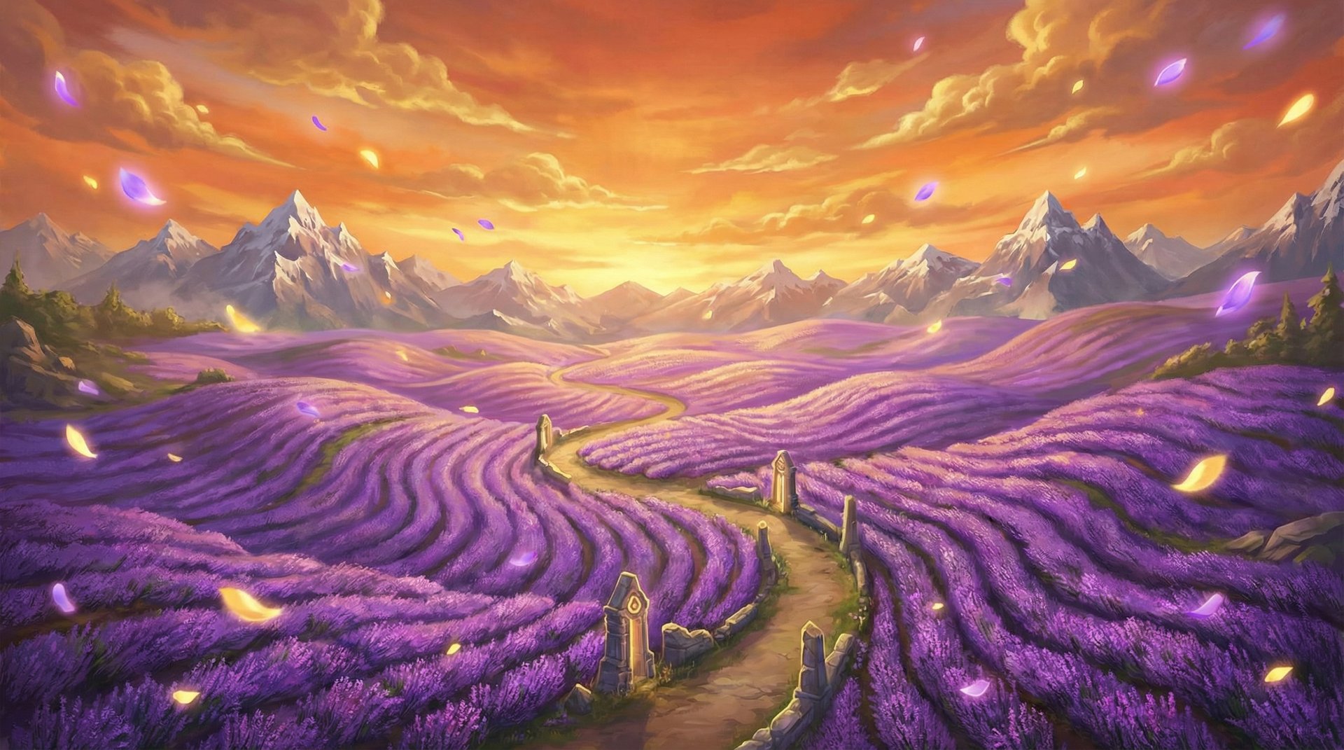 四爱薰衣草花海航拍植物视频